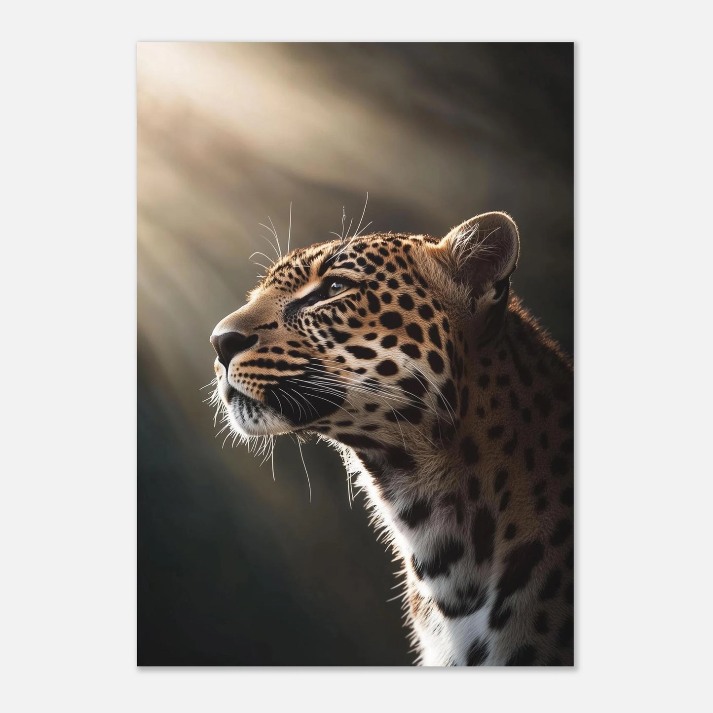 55017a88-ec38-4f35-8b40-b1b33d746155