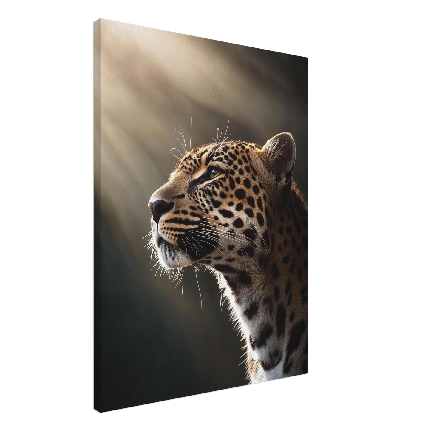 02a35674-382c-44f7-a801-ed748d9f5402