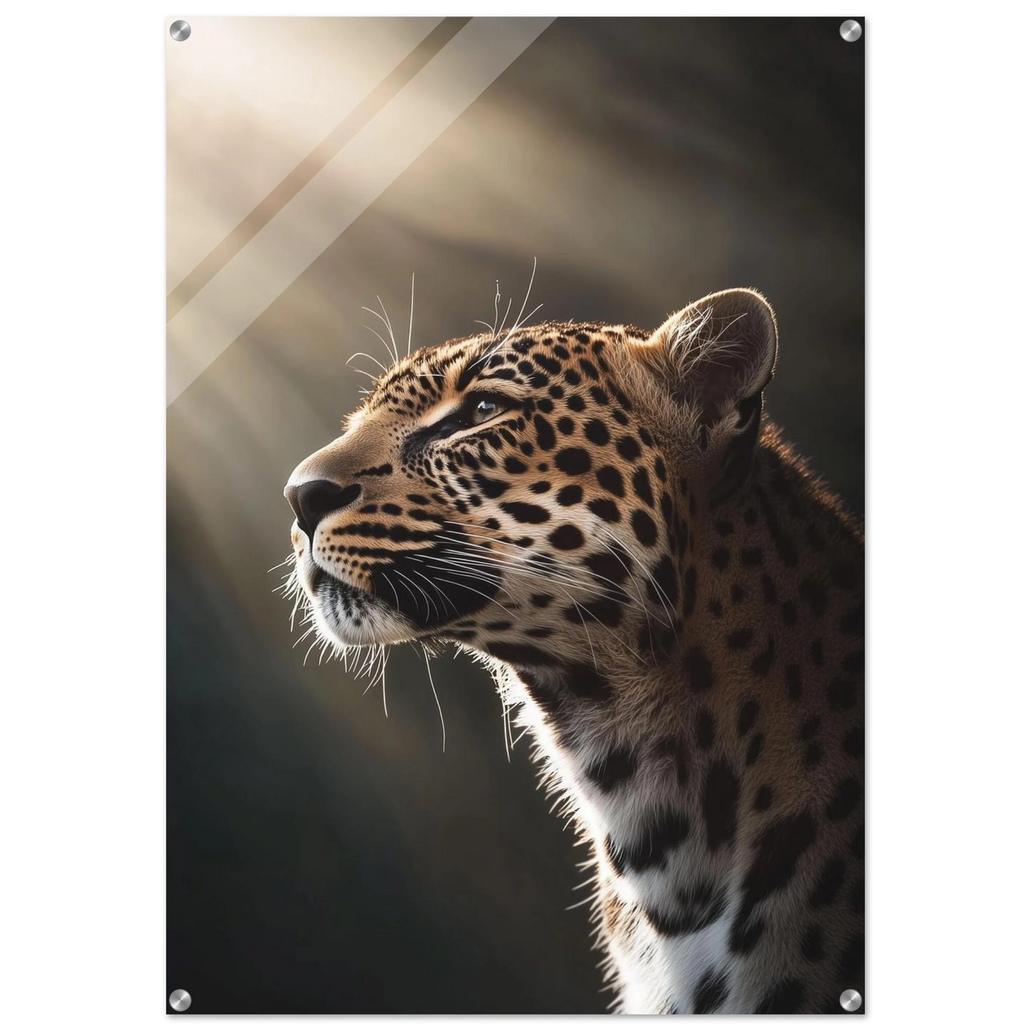 3e65d2fc-04df-49bc-9f60-53271a6444d5