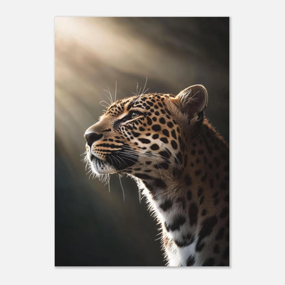 55017a88-ec38-4f35-8b40-b1b33d746155