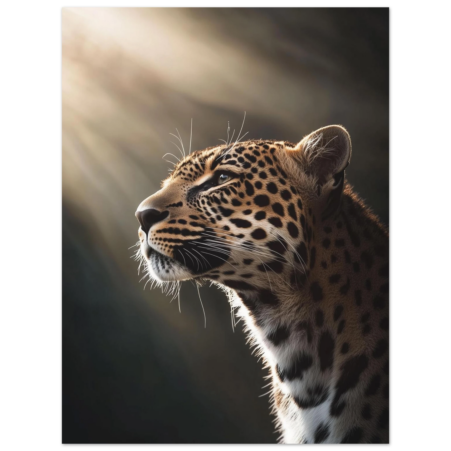 571868b9-bc98-4e1b-b2ad-b59c36f137f4