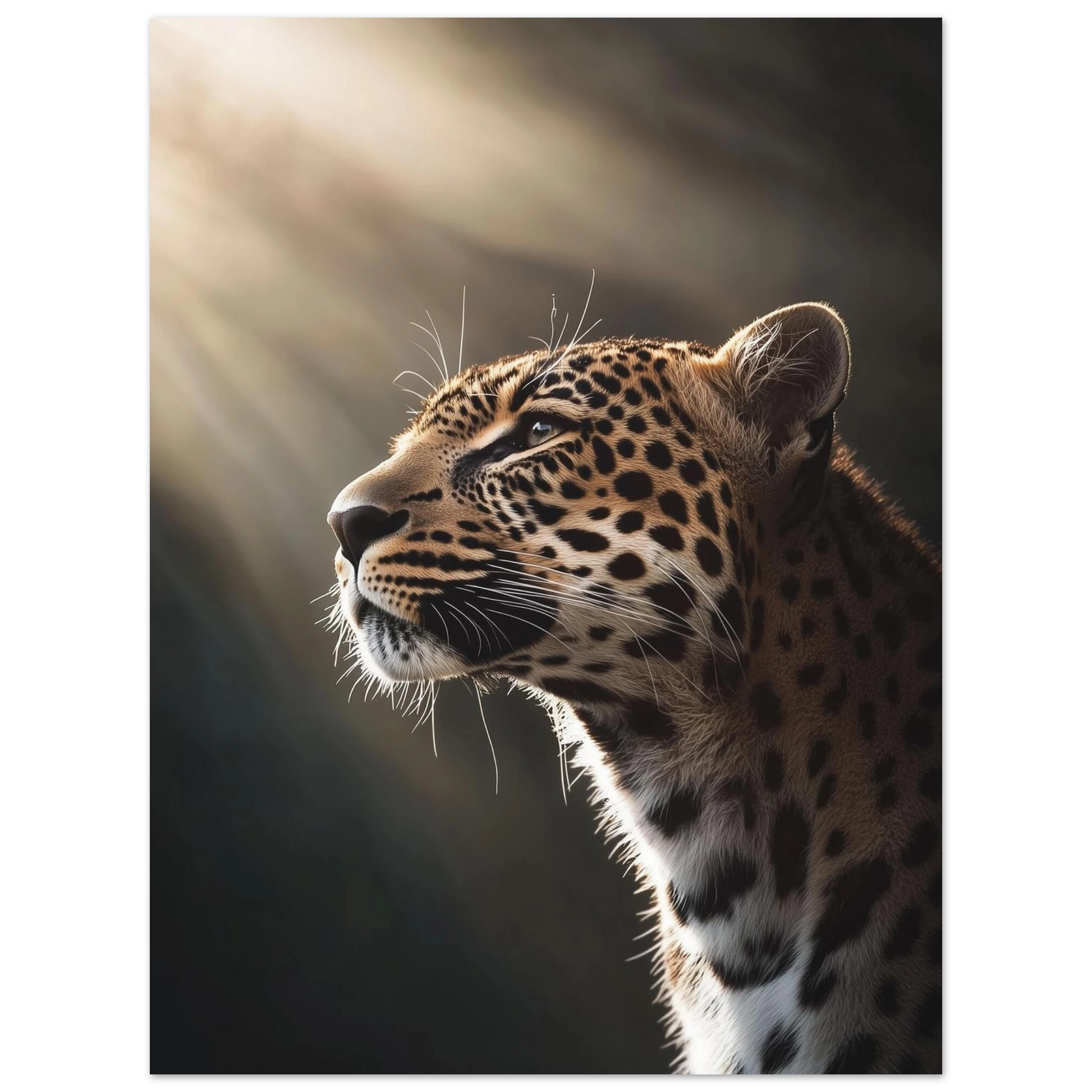 571868b9-bc98-4e1b-b2ad-b59c36f137f4