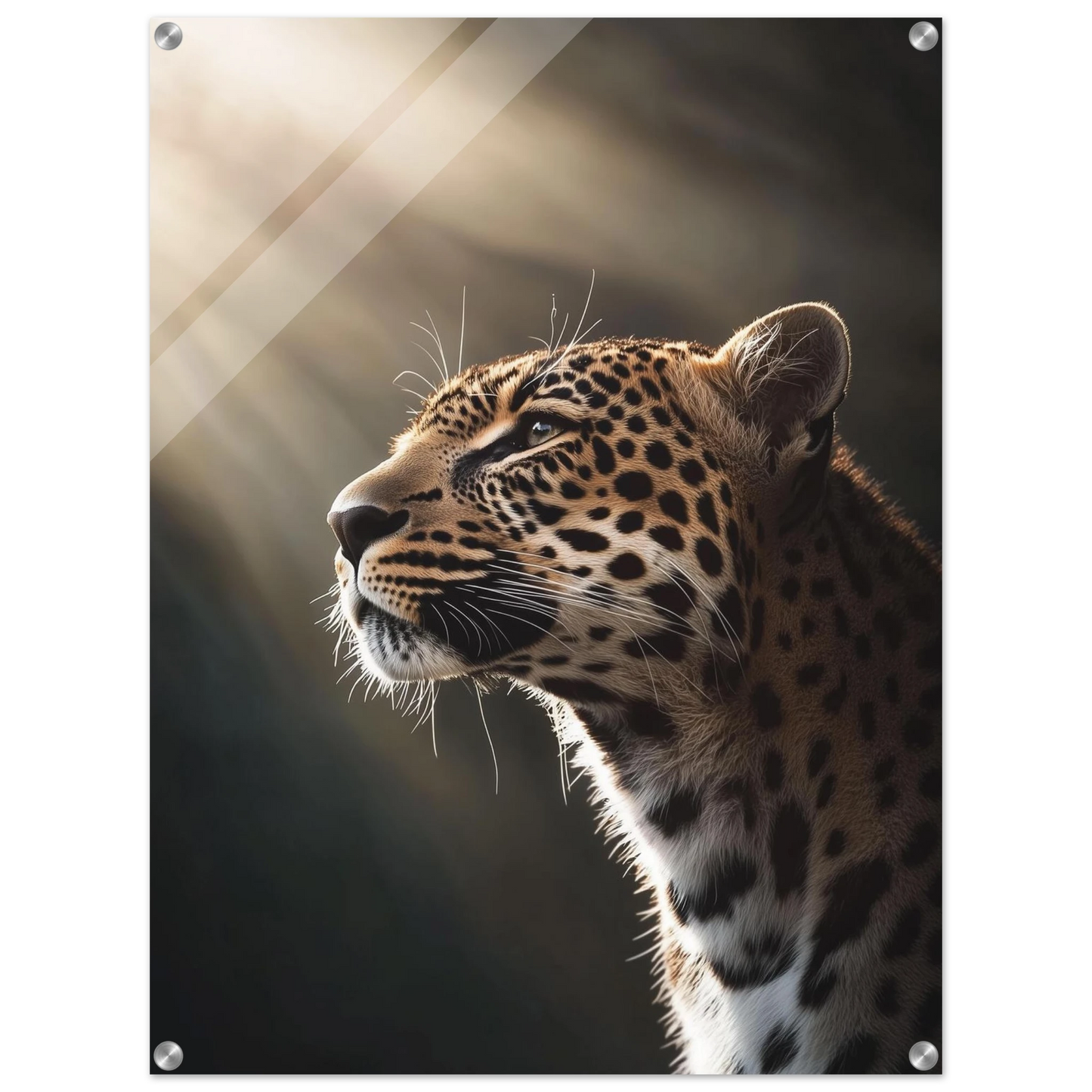 60ce0c07-da70-4eef-bca4-d4bc8ace6dea