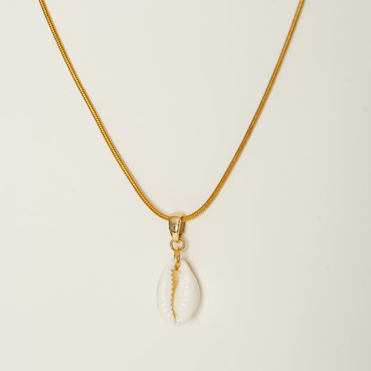 SUMMER Kette  mit Kaurimuschel
