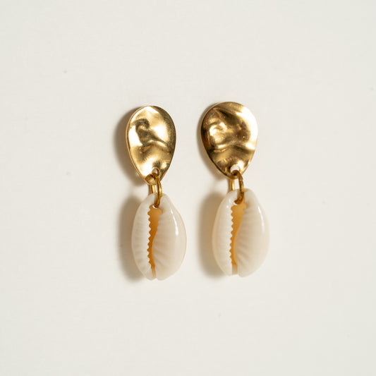 Stainless steel earrings cowrie shell