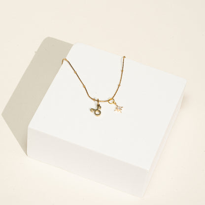 Kette 18K vergoldet mit Sternzeichen und Stern (personalisiert)