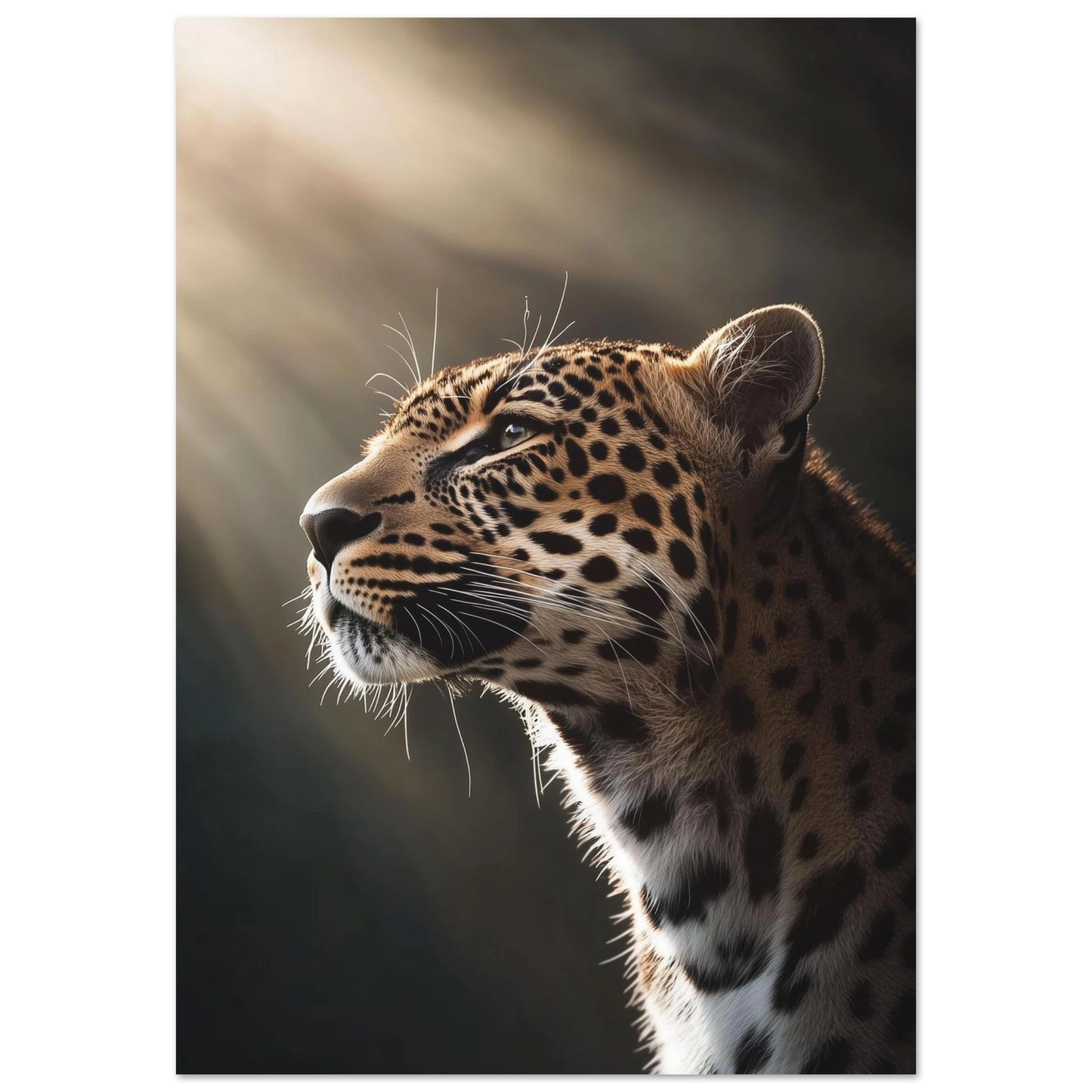 a91af6e6-dd30-430e-8b18-a1dfaa9b683d