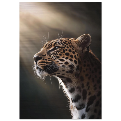 da3849e8-8f2d-44ad-96c1-153643af1a2e