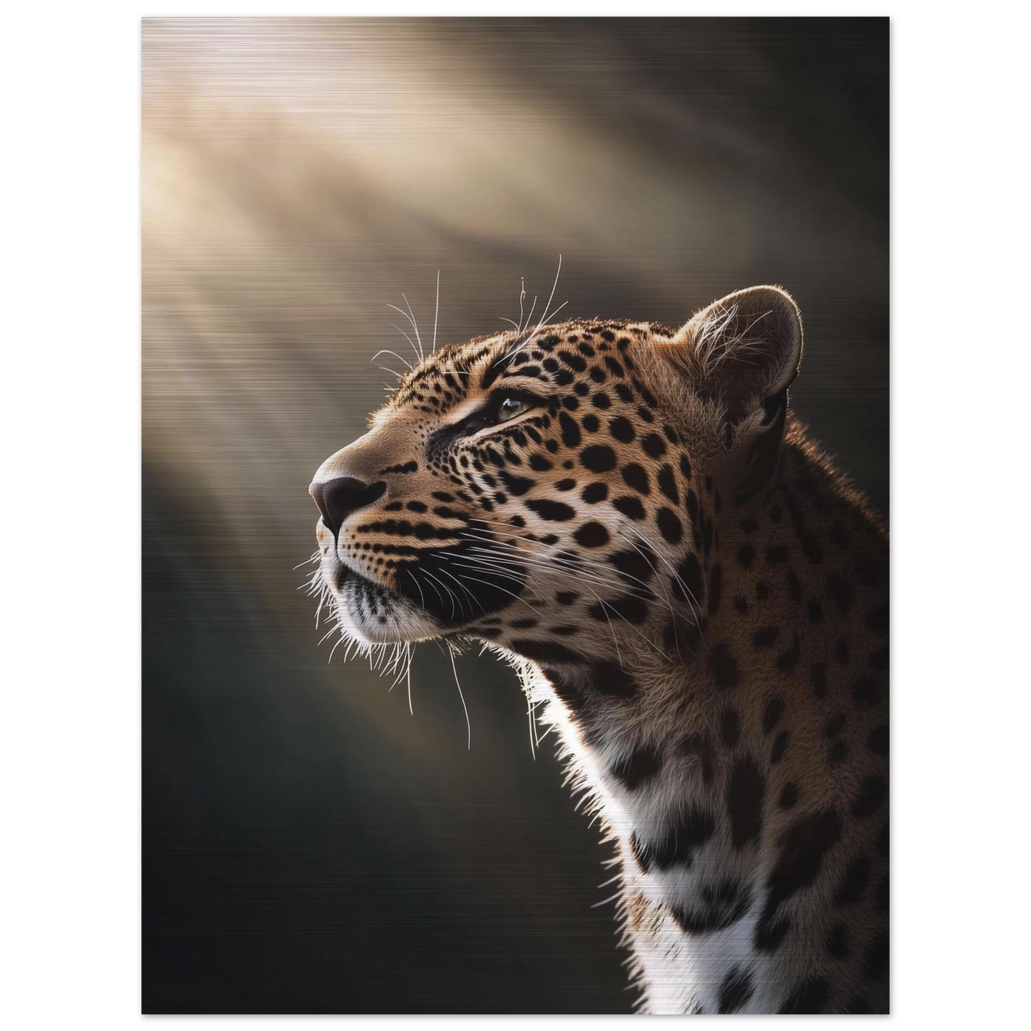 e56c0961-cb16-4a79-8d3b-3b6f2bc74f08