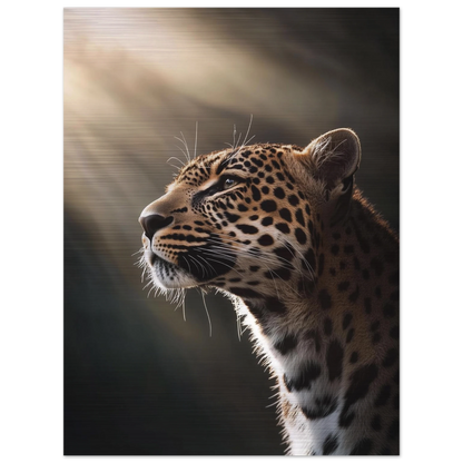 e56c0961-cb16-4a79-8d3b-3b6f2bc74f08